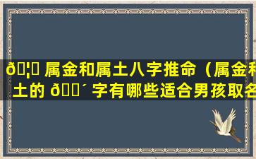 🦉 属金和属土八字推命（属金和土的 🐴 字有哪些适合男孩取名）